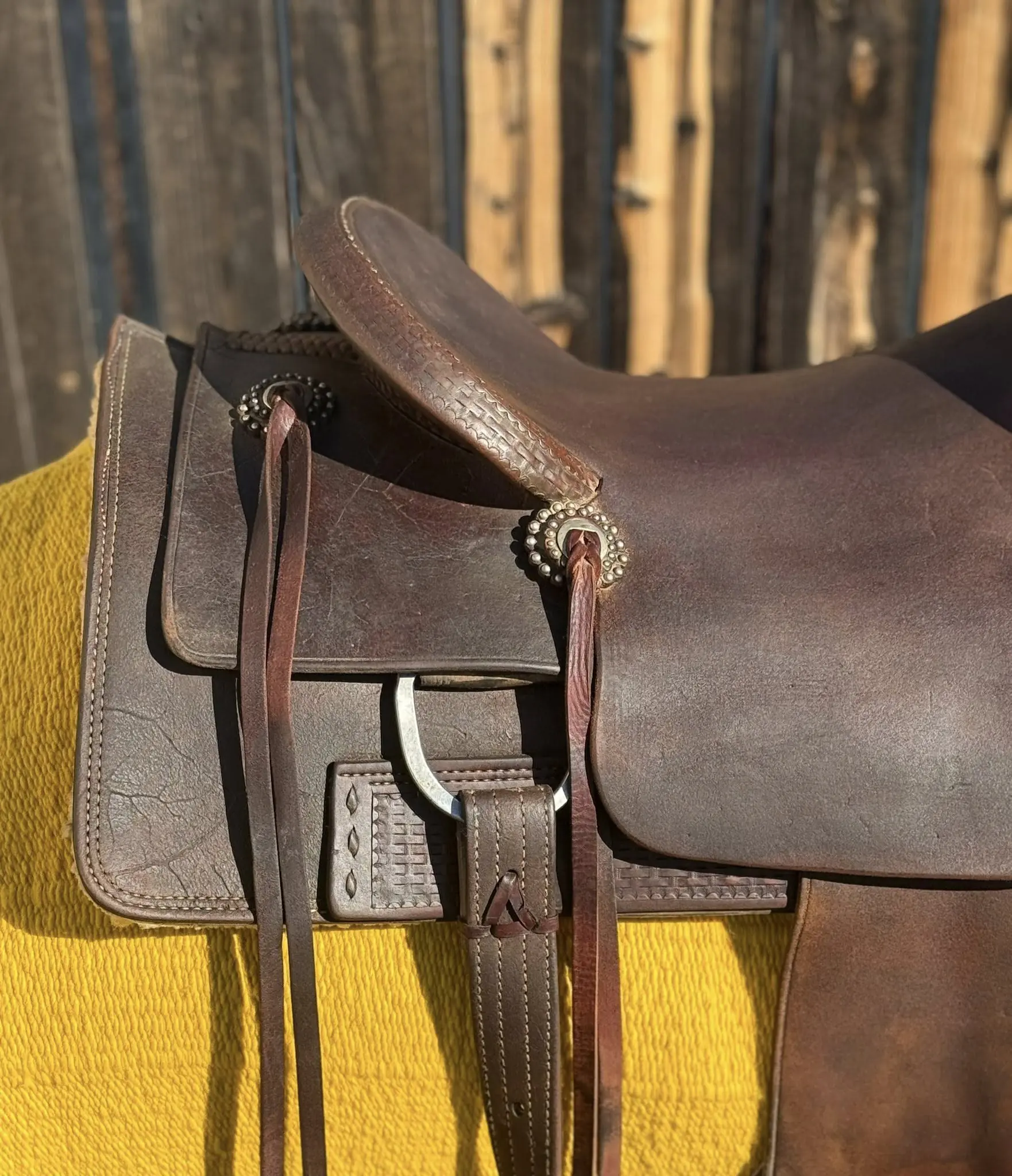 calvin allen ranch cutter 15 5 fender